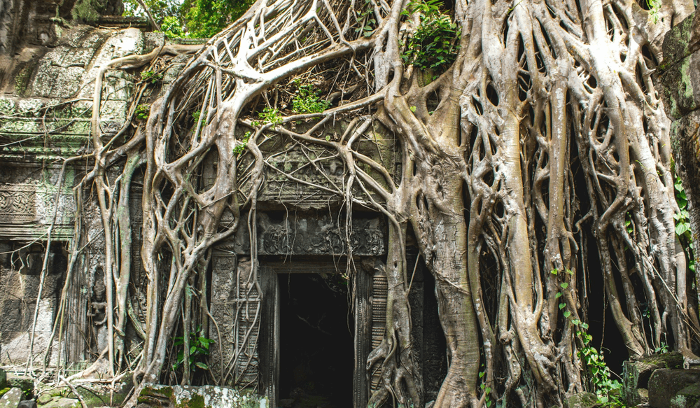 Angkor Wat