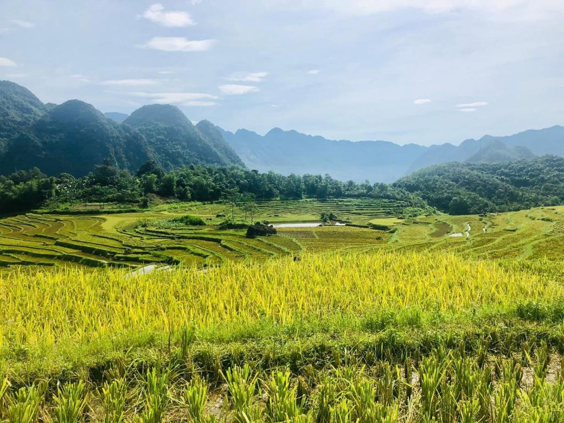 Pu Luong Day 4