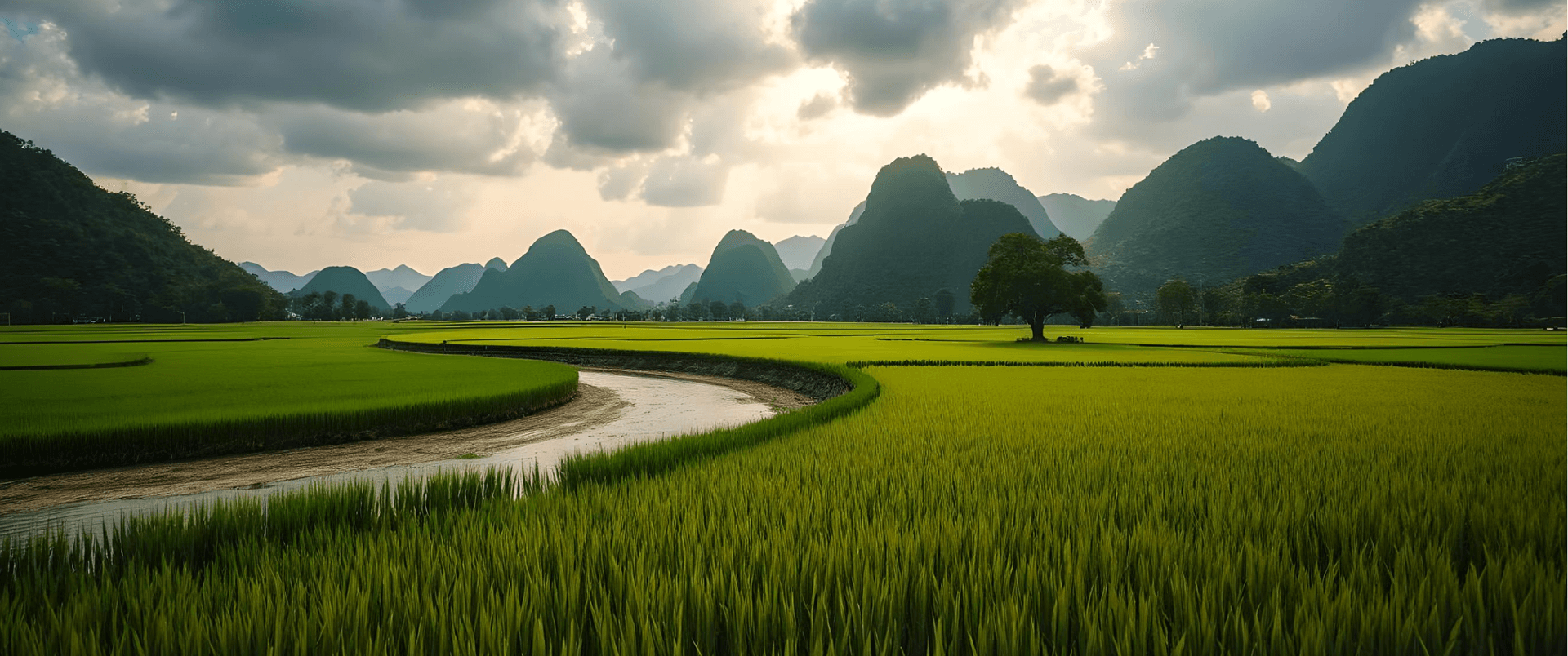Laos1