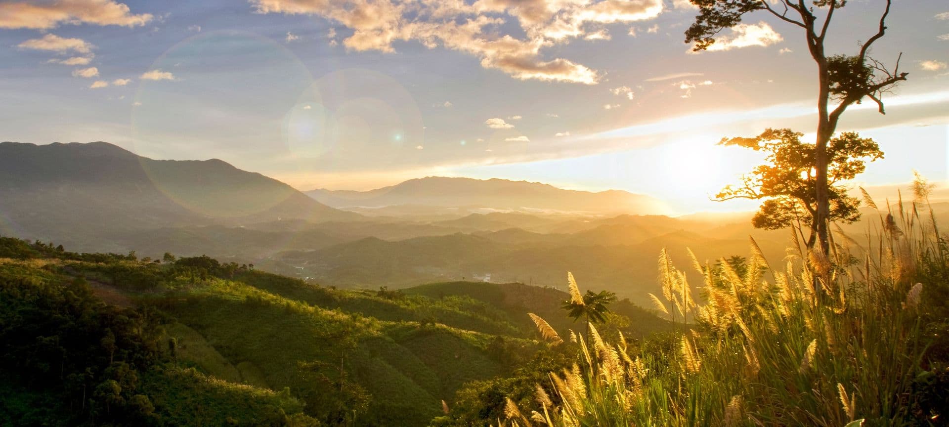 Banner sapa vietnam