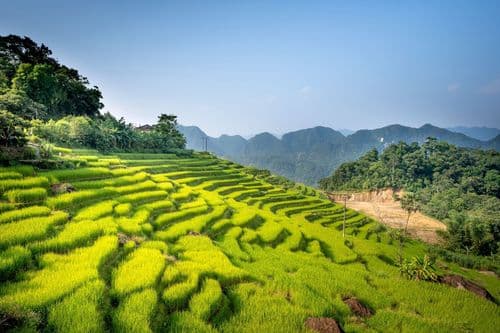 Pu Luong Day 4