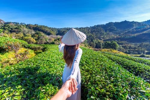 Woman Field