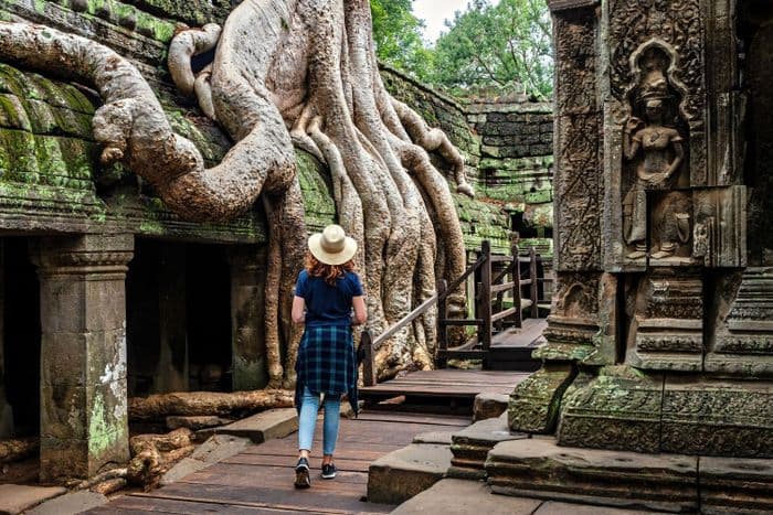 Ta Phrom Tree 