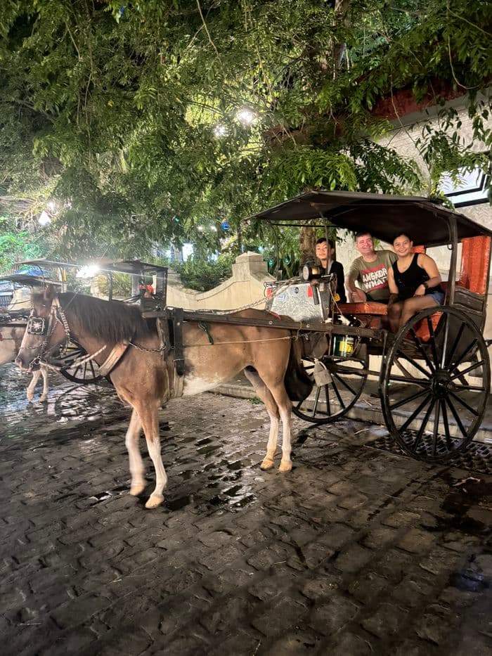 Vigan