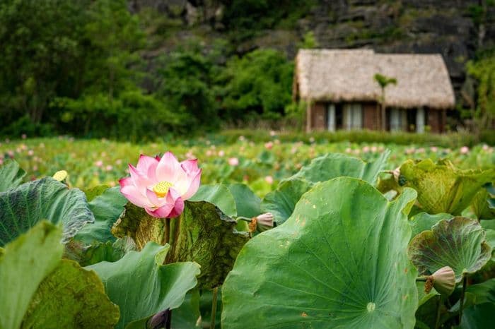 Muong Village Ninh Binh