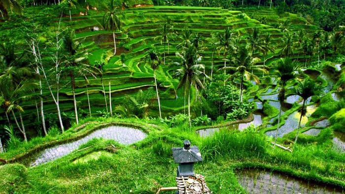 marga village