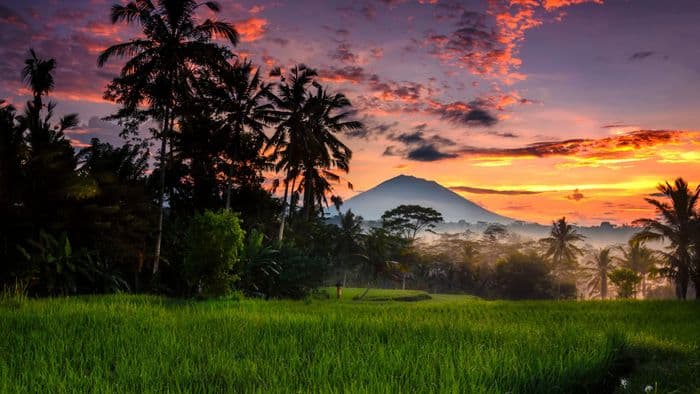 ubud bali