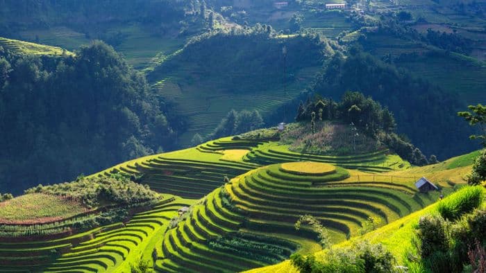 ubud bali
