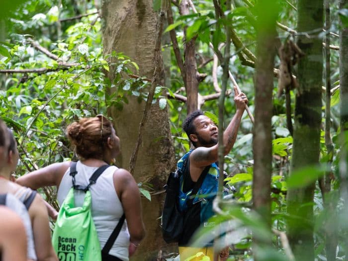 Khao Sok National Park Jungle Trekking