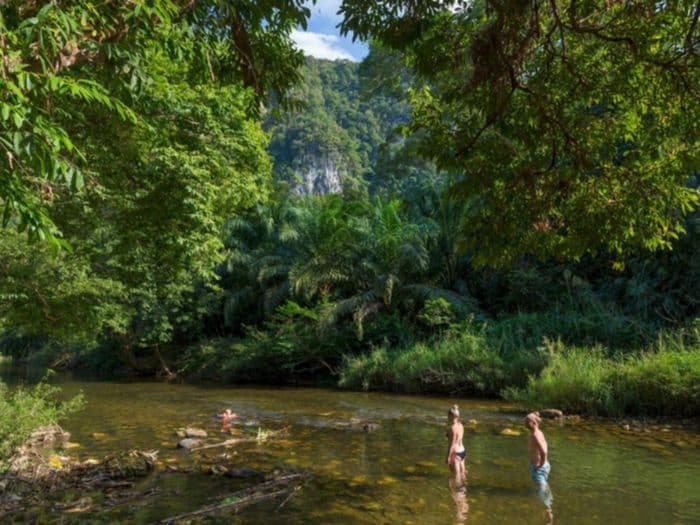 Our jungle camp eco resort khao sok thailand