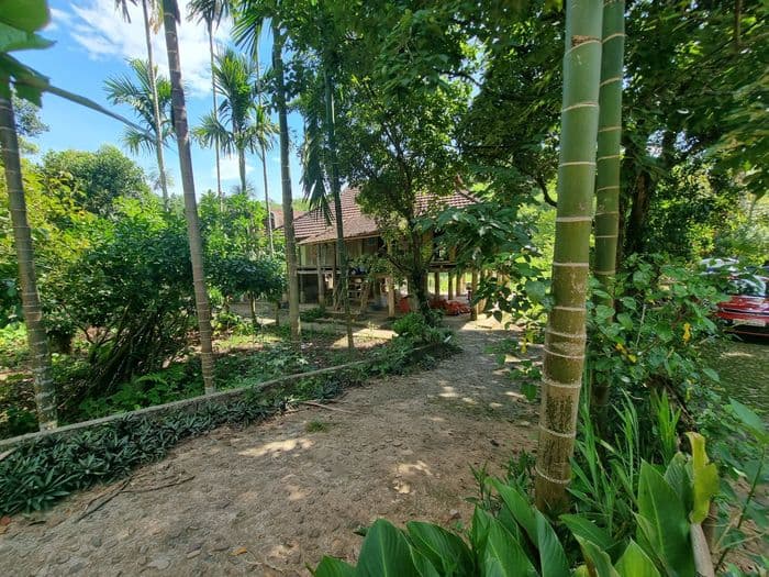 Muong Bi Homestay5