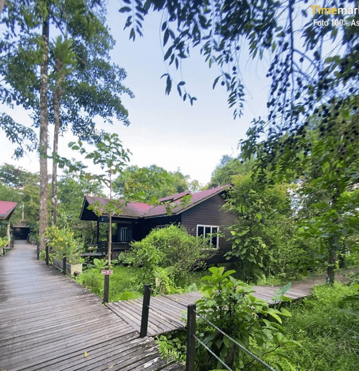 Abai Jungle Lodge