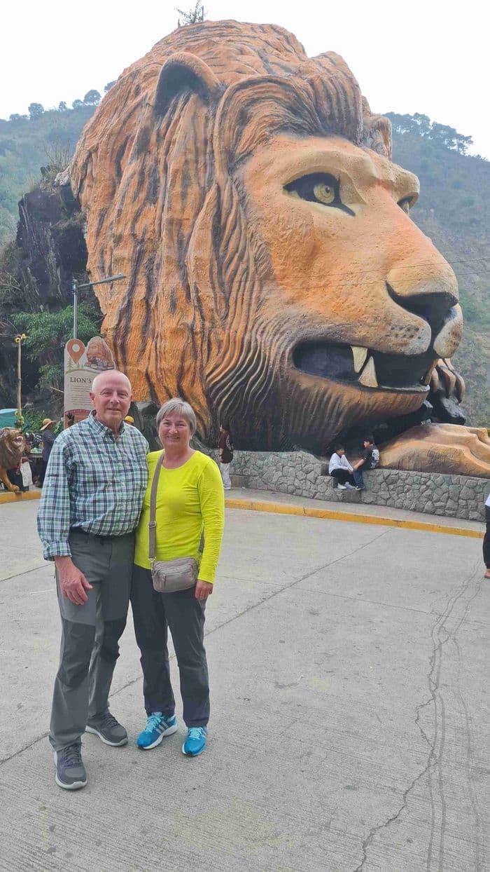 Lions head
